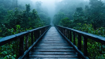 Obraz premium Rainy bridge adventure lush forest landscape photography serene environment nature concept for relaxation