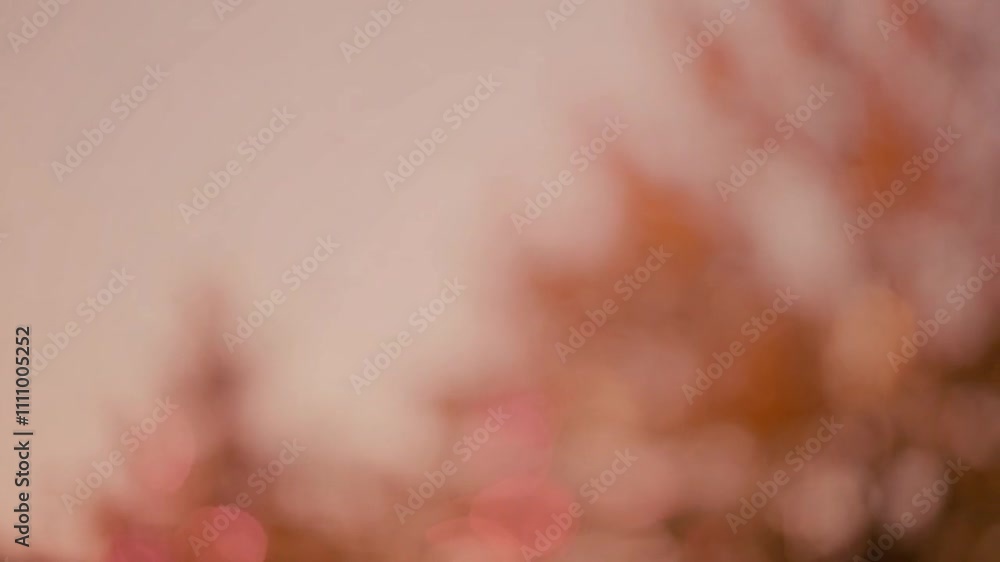 Poster soft glowing bokeh lights in vibrant colors illuminate the ambiance, adding a touch of luxury to fes