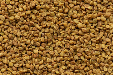 Fenugreek (methi) seeds as an abstract food texture. 