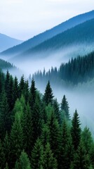 Naklejka premium Misty morning over lush evergreen forested mountains, AI