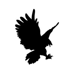 Harpy Eagle Silhouette Vector Illustration