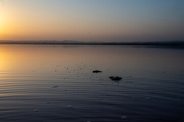 Naklejka premium Scene from the salt lake in Torrevieja Natural Park
