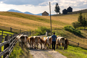 Bucovina - Scenic Region in Romania