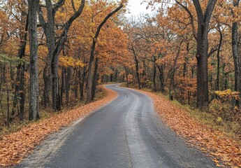 Serene Winding Road Through Colorful Autumn Forest with Vibrant Orange and Yellow Leaves Under Cloudy Skies, Perfect for Fall-Themed Projects