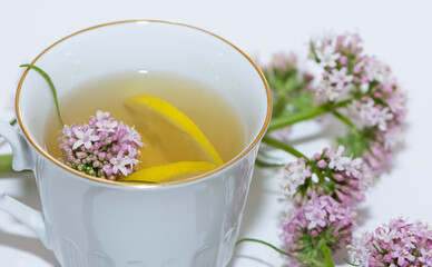 wild plants and natural herbal teas.