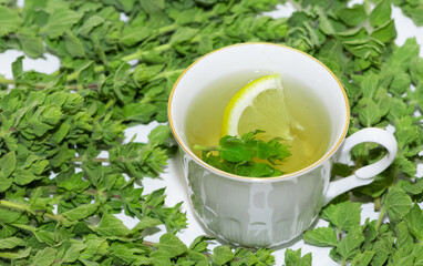wild plants and natural herbal teas. thyme tea photos.