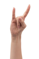 Woman hands with nude manicure isolated on a white background.