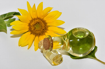 photos of sunflowers and sunflower seeds in a studio environment.