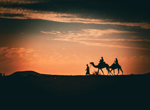 Silhouette of man leading two camels at sunset in desert