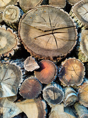 Stacked firewood logs creating intriguing circular patterns