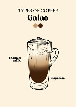 Galao specialty. Energizing drink with caffeine in a tall glass with Foamed milk and Espresso. Vector hand drawn line art of a refreshing drink. Outlined illustration for online and print.