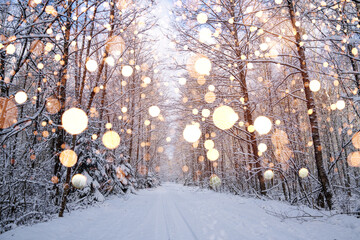 Snowy Pathway with Lights in Winter Forest