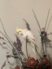 Graceful White Cockatiel Among Flowers: A Perfect Fit for Avian and Veterinary Settings