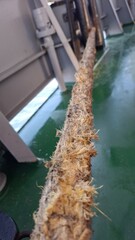 Close-up of a frayed rope on a green-painted ship deck, showing texture and wear. Maritime equipment in a working environment.