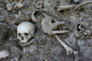 Skull bones with mass grave. Genocide theme.