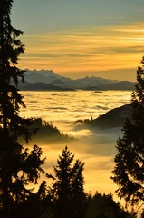 Beautiful sunset on the hill Schnebelhorn with a large sea of ​​fog. Small hill as an island in the fog. Autumn mood in the Zurich Oberland. High quality photo