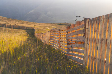 Wooden Fence in a Golden Field