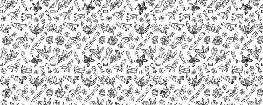 seamless pattern of Black and white spice   Floral botanical illustration, aromatherapy concept 