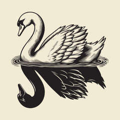 White swan on water with its reflection as a black swan. Vintage engraving vector illustration. Emblem, print, tattoo, icon