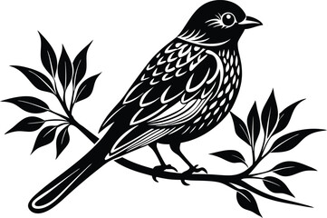 A bird perched on a tree branch on a white background