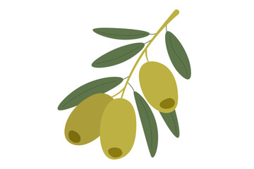 Olives on a branch in flat style