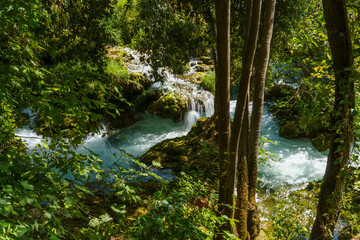 Beautiful view of numerous and vast rivers flowing in a dense forest