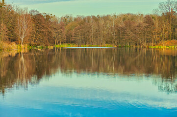 Poznań, Cybina Valley, protected nature area, trees growing in the river area in autumn colors lit by the setting sun