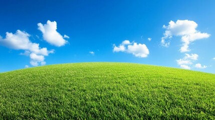 Fototapeta premium Serene Grassy Hill, a lush green slope ideal for sunbathing or picnicking, under a vibrant blue sky, inviting relaxation and outdoor enjoyment.