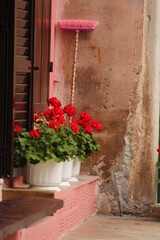 Window with pink flowers and broom