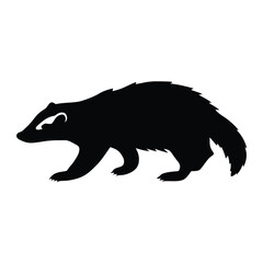 A black and white drawing of a badger. The badger is walking on a white background