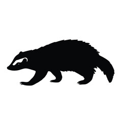 A black and white drawing of a badger. The badger is walking on a white background