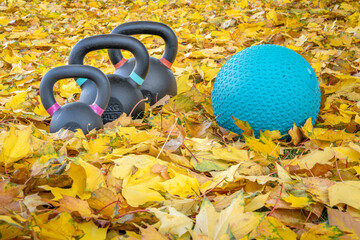 heavy exercise kettlebells and a slam ball in fall color leaves - outdoor fitness concept