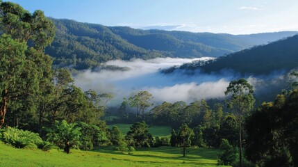 A Misty Morning in a Lush Green Valley Surrounded by Mountainous Forested Slopes