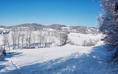 Tranquil Winter Landscape With Snow-Covered Fields and Frosty Trees