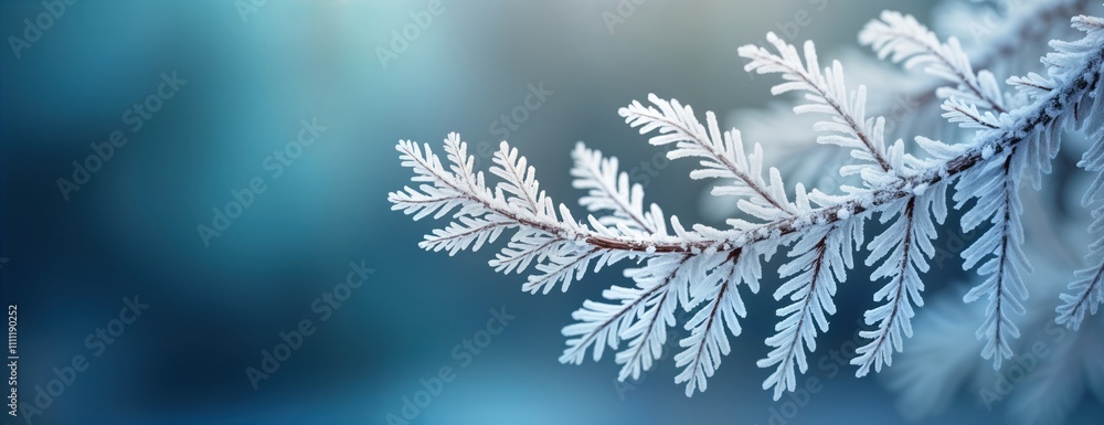 Poster closeup view of icy plant branches. frost crystals adorn branches creating intricate patterns. winte