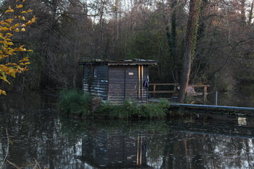 old wooden house in forest