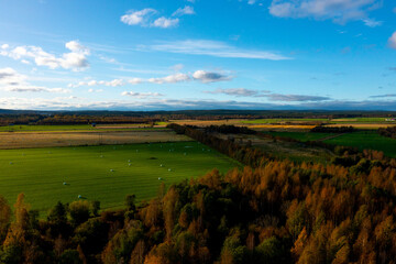 landscape, field and clouds