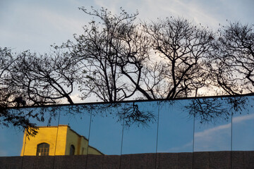 Sunset sky reflects leafless trees and yellow building on glass facade creating abstract scene