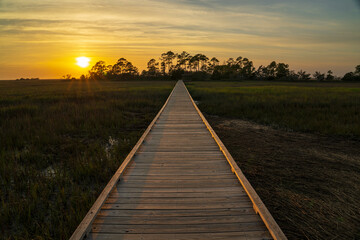 Sunset walkway to lowland marsh in South Carolina