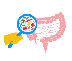 Illustration of Probiotics and Gut Microbiome - Gut Health Support