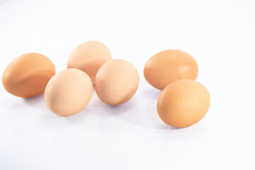 Eggs, Gallus gallus domesticus
