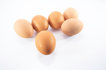 Eggs, Gallus gallus domesticus
