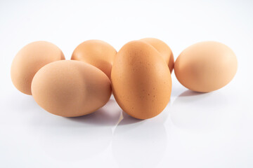 Eggs, Gallus gallus domesticus