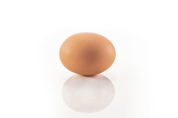 Egg, Gallus gallus domesticus