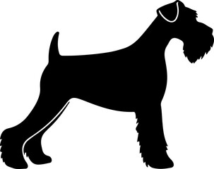 schnauzer outline illustration