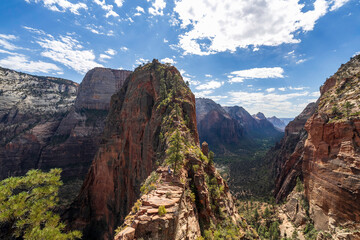 Naklejka premium Angel's Landing, Zion National Park