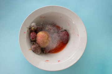 In a white plate, strawberries and peaches are rotten and covered with mold.