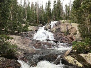 River in the Backwoods of Colorado