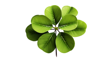 A vivid rainbow stretching across a picturesque rural landscape after rain.