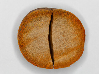 Sliced brown avocado seed.